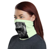 alobien neck gaiter mask Gorilla unit
